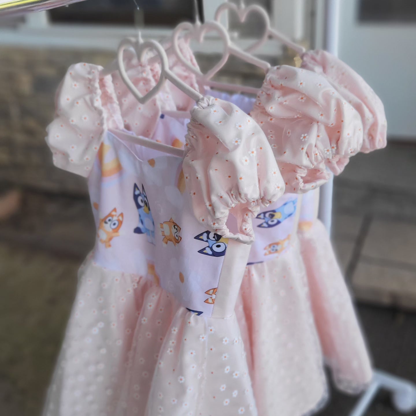 Bluey princess dresses