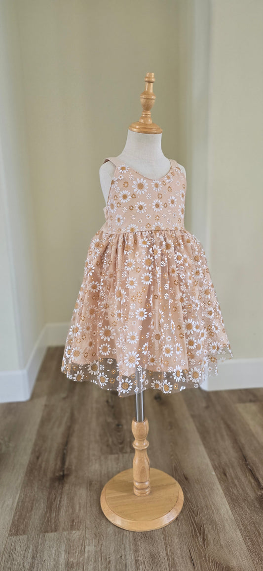 Olivia | Daisies